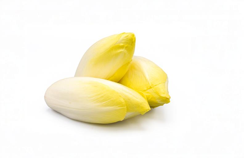 Endive