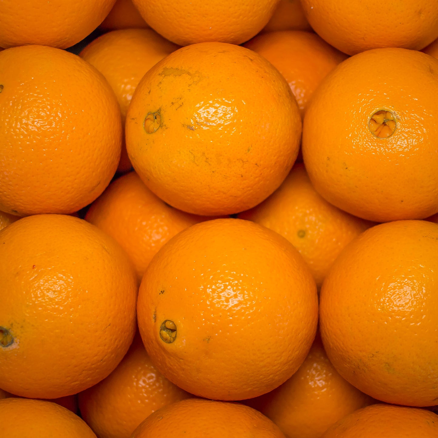 Orange Navel