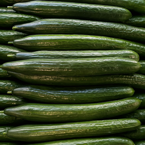 Concombre