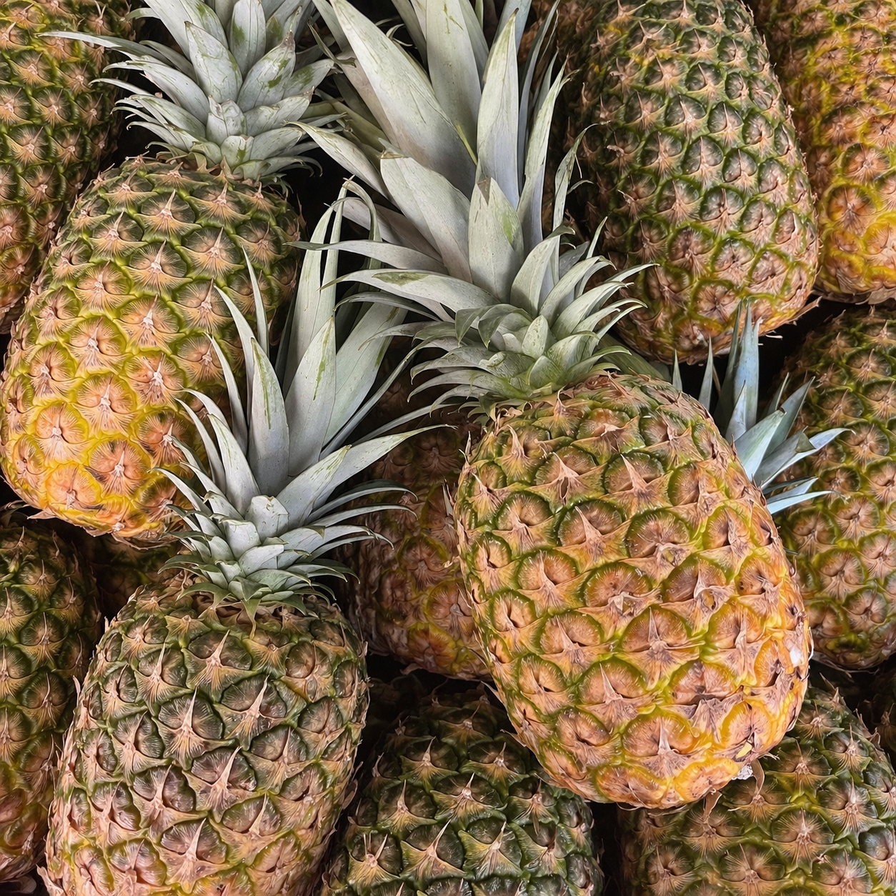 Ananas Extra Sweet
