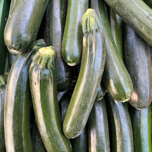 Courgette