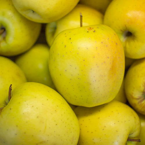 Pomme Golden