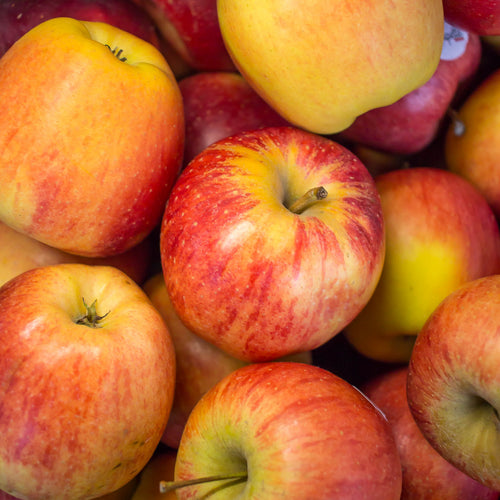 Pomme Royal Gala