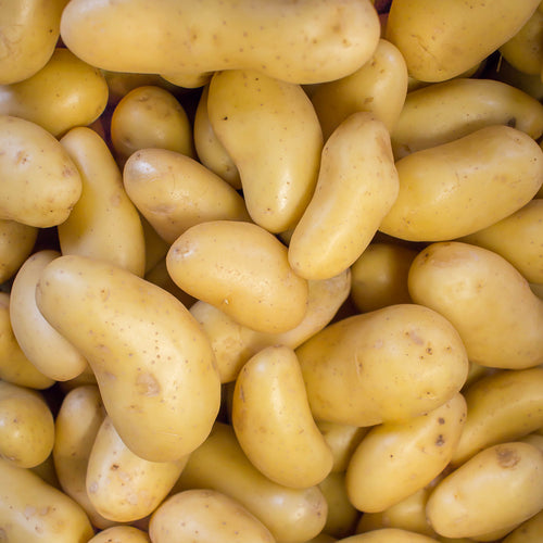 Pomme de terre Celtiane