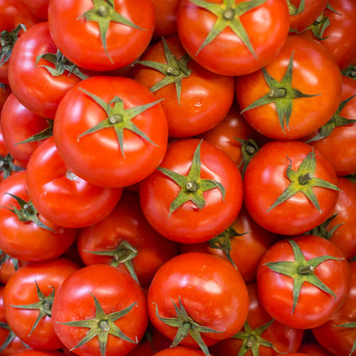 Tomate