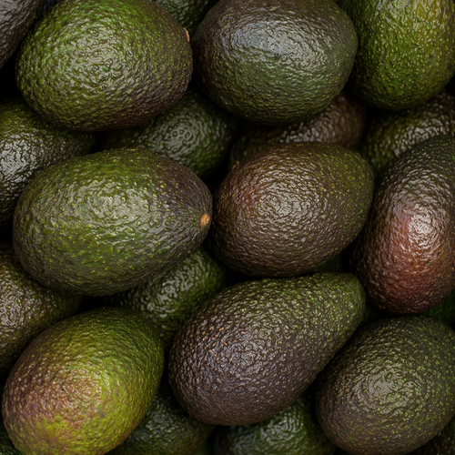 Avocat