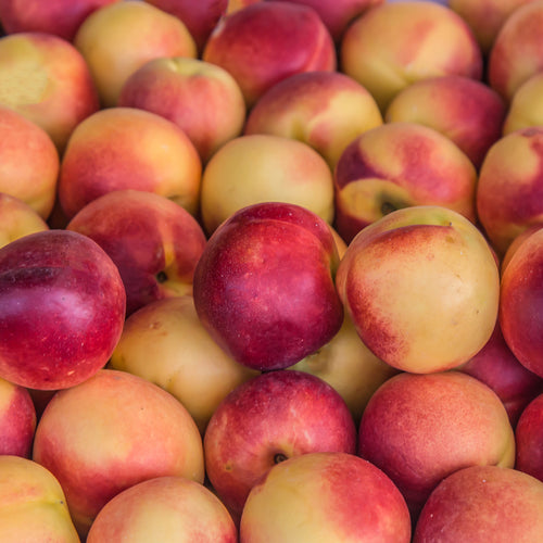 Nectarine Blanche