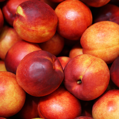 Nectarine Jaune