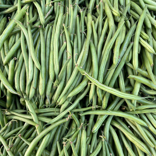 Haricot vert